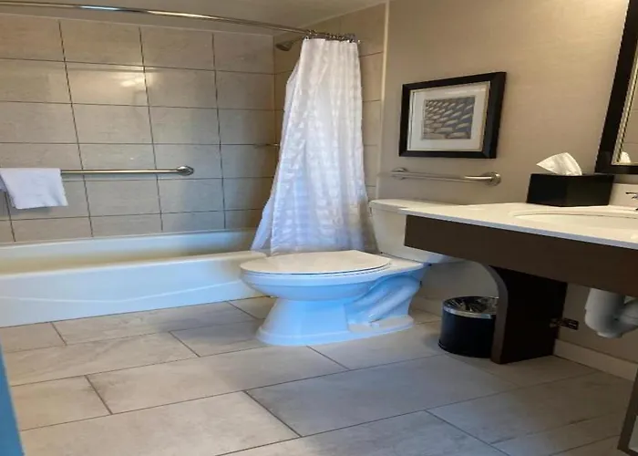 Embassy By Hilton Chicago Woodfield 3*