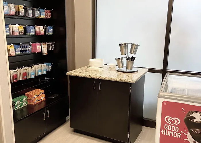 Hotel Embassy By Hilton Chicago Woodfield 3*