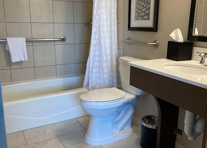 Embassy By Hilton Chicago Woodfield