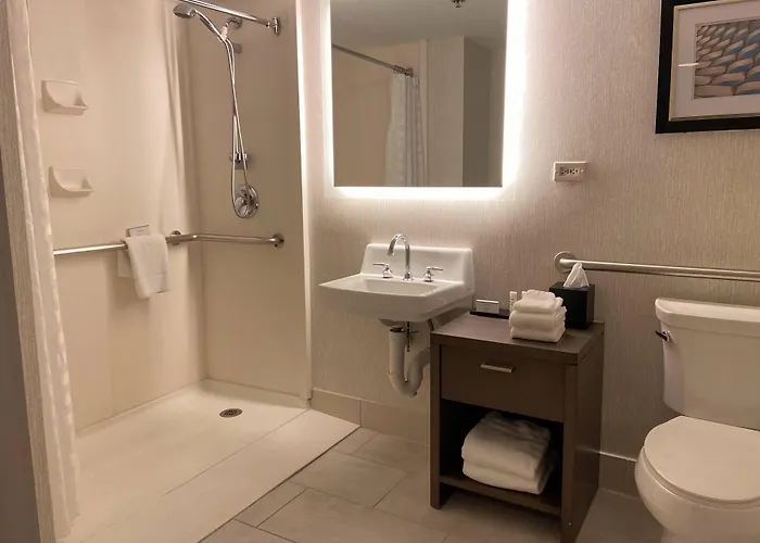 Embassy By Hilton Chicago Woodfield Hotel 3*